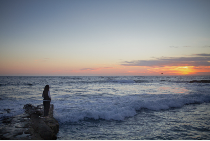 The Problem with Chasing Purpose